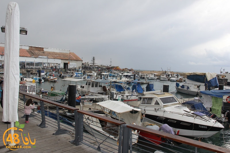 ksahaf islamy mina2 (2).JPG